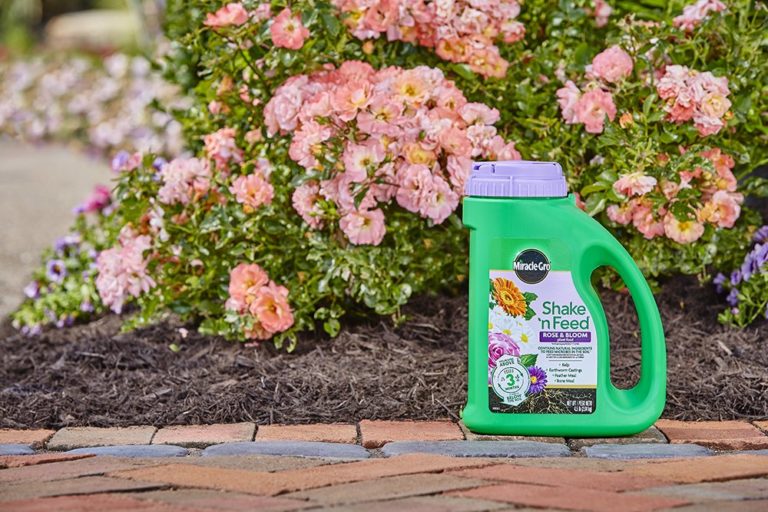 5 Best Fertilizers for Roses Reviewed in Detail (Winter 2023)