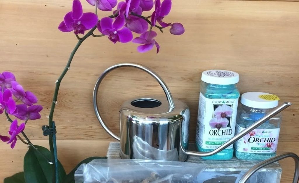 5 Best Fertilizers for Orchids to Boost the Blooming