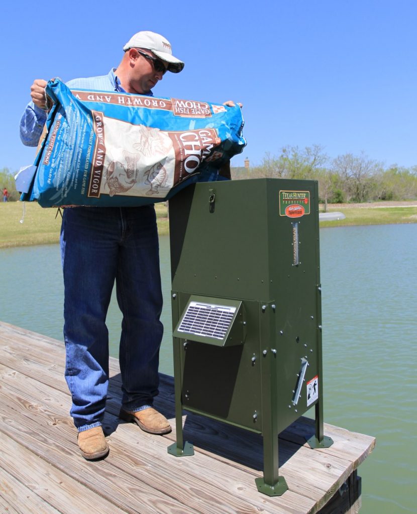 6 Best Pond Fish Feeders - Keep Your Fish Well-Fed and Happy!