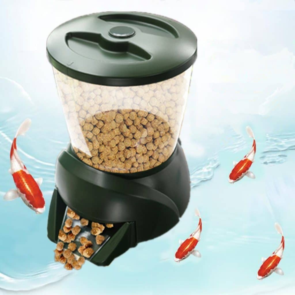 6 Best Pond Fish Feeders - Keep Your Fish Well-Fed and Happy!