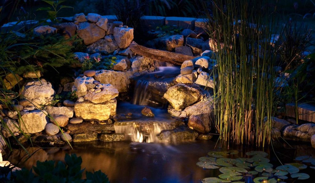 10 Best Pond Lights - Bring Your Water Feature to Life at Night!