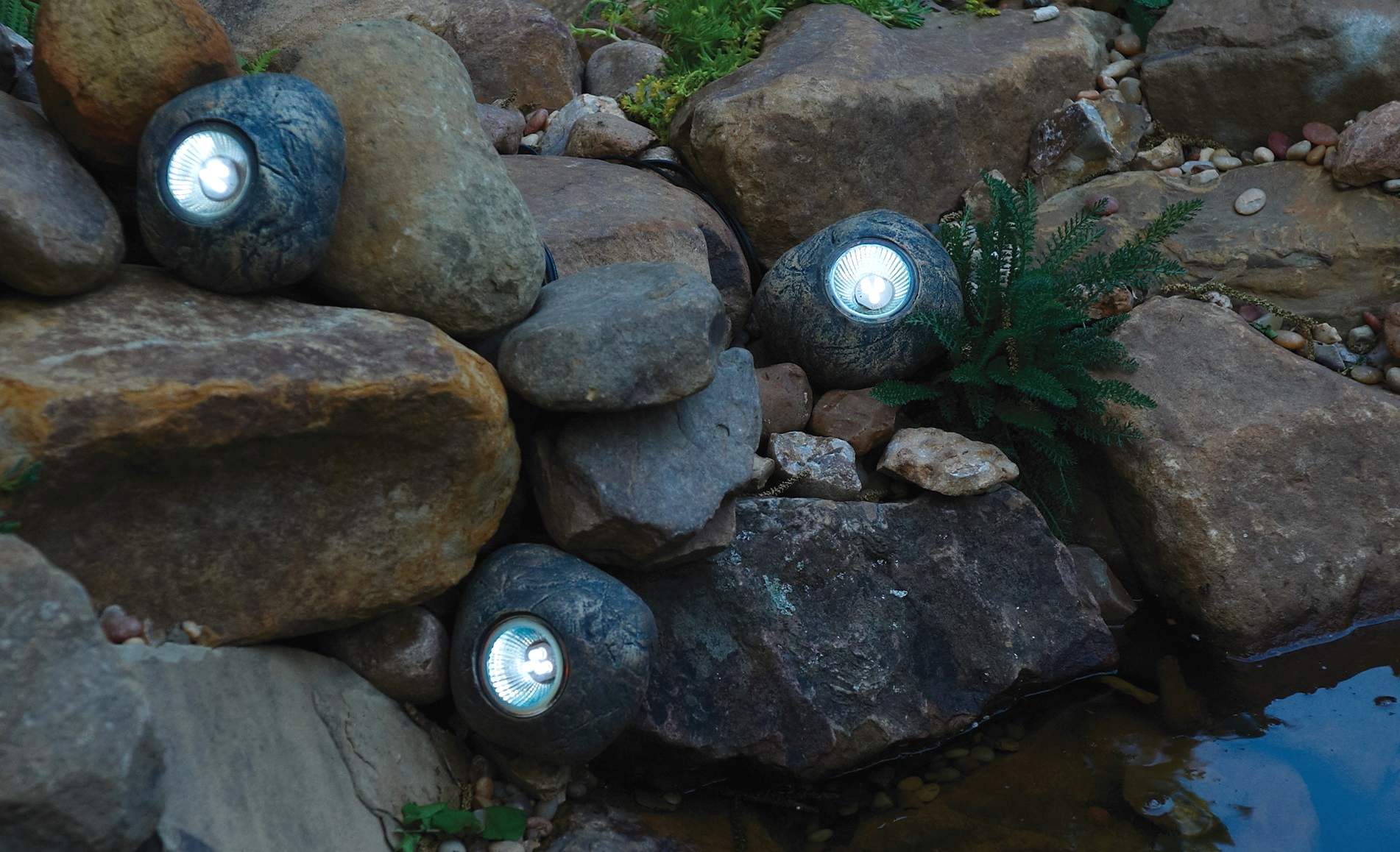 10 Best Pond Lights Reviewed (Summer 2024)