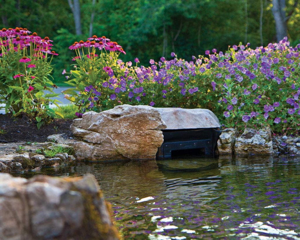 5 Best Pond Skimmers - When Your Pond Needs Help