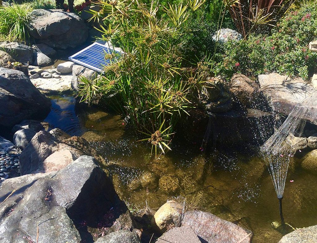 6 Best Solar Pond Pumps - Don't Spend Extra!