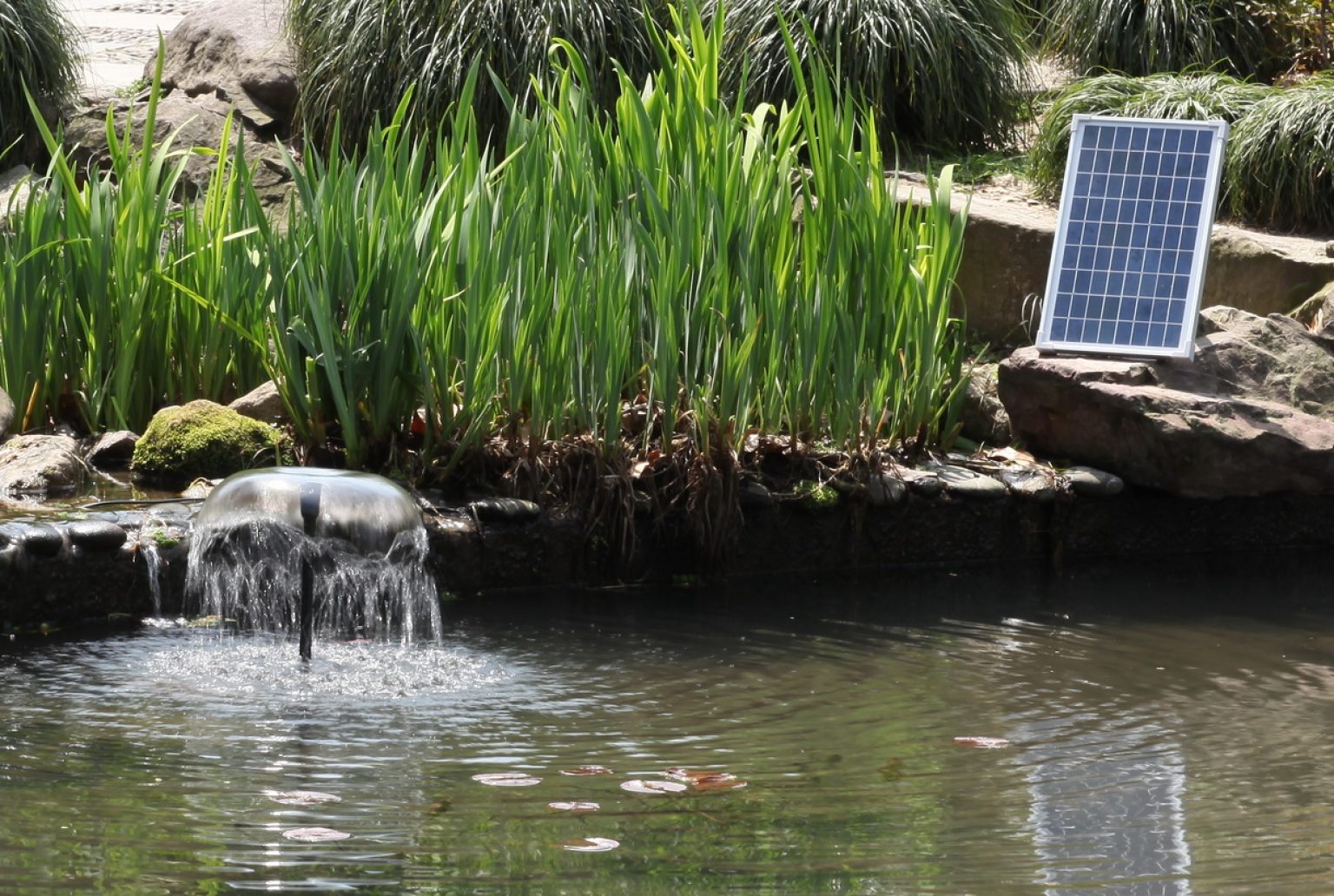 6 Best Solar Pond Pumps Reviewed (Fall 2023)