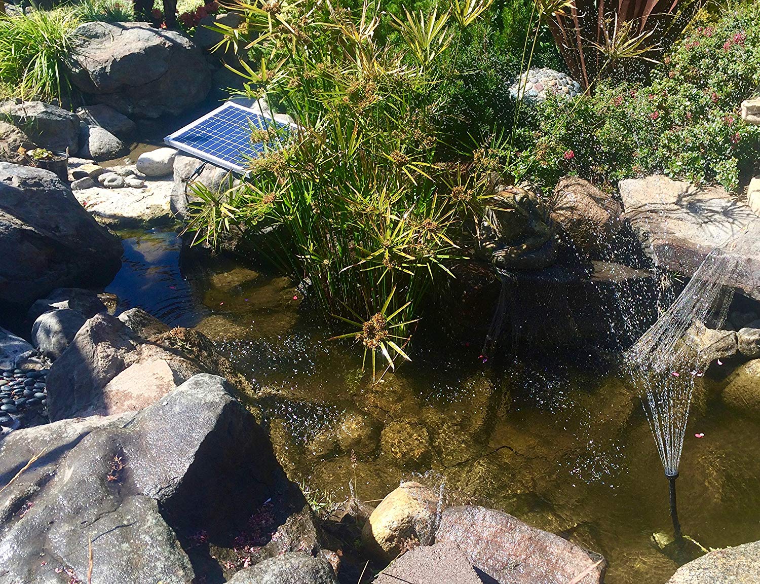 6 Best Solar Pond Pumps Reviewed (Fall 2023)