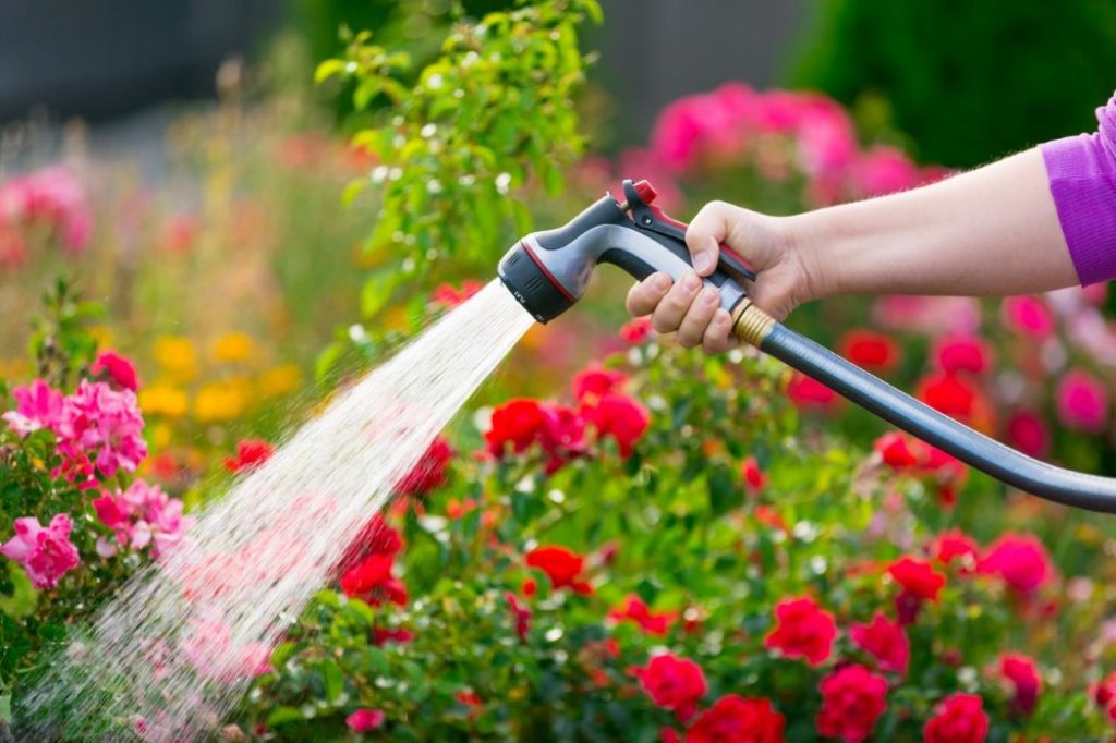 12 Best Garden Hoses to Make Light Work of Your Outdoor Chores