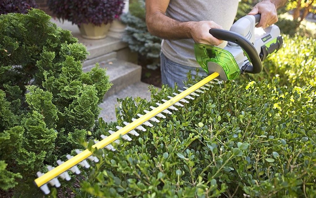 8 Best Cordless Hedge Trimmers - No Limitations