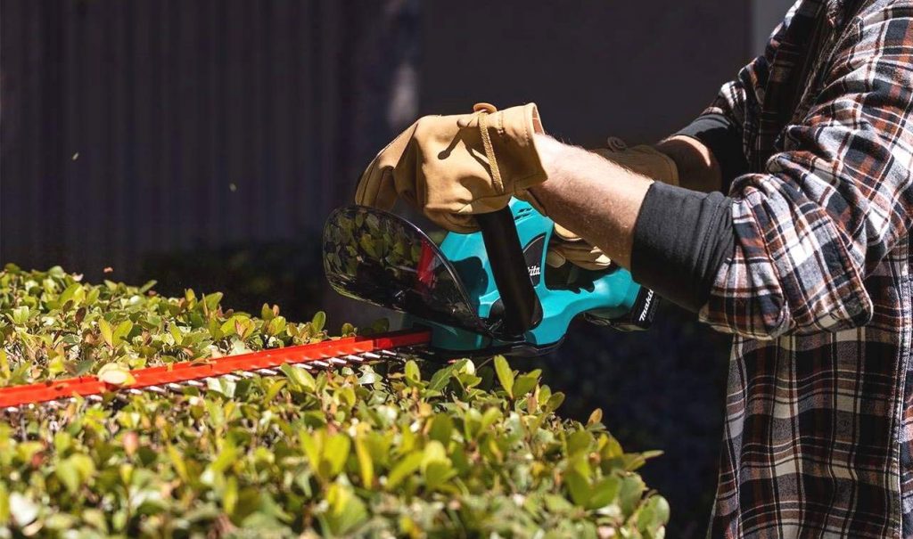 8 Best Cordless Hedge Trimmers - No Limitations