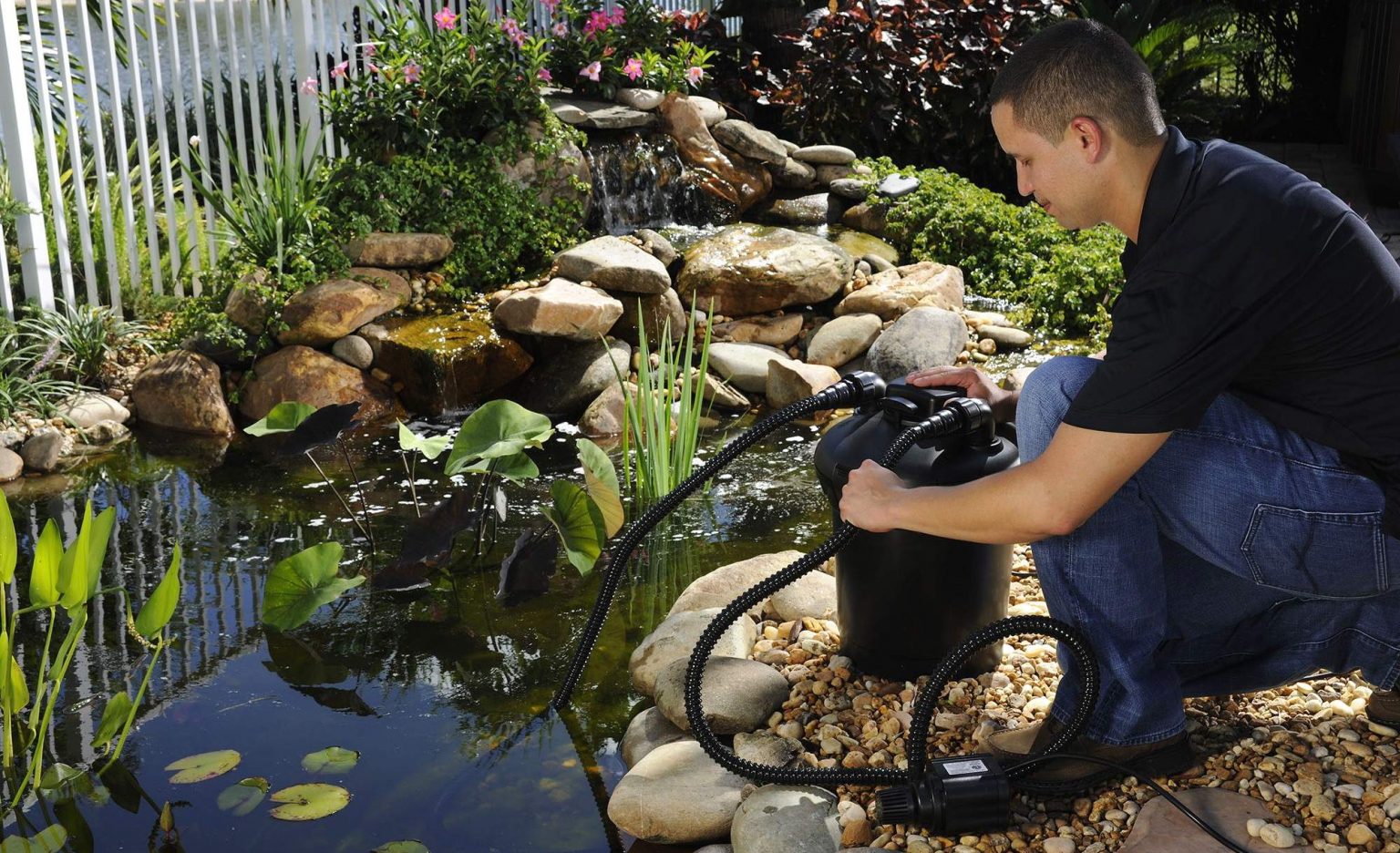 9 Best Pond Filters Reviewed in Detail (Summer 2023)