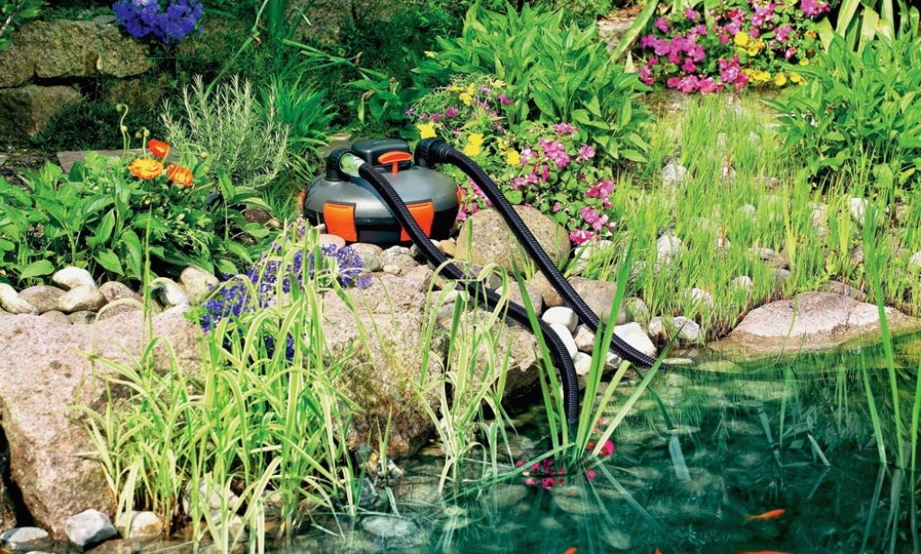 9 Best Pond Filters - Clean and Balanced Pond Environment!