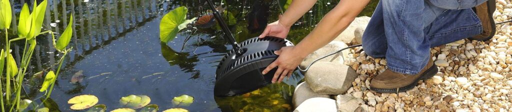 9 Best Pond Filters - Clean and Balanced Pond Environment!