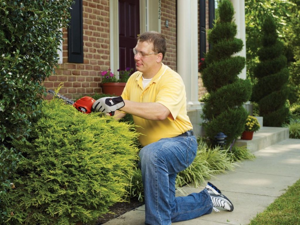 best small hedge trimmer