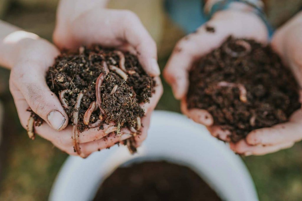 6 Best Worm Composters - Create Your Own Worm Farm!