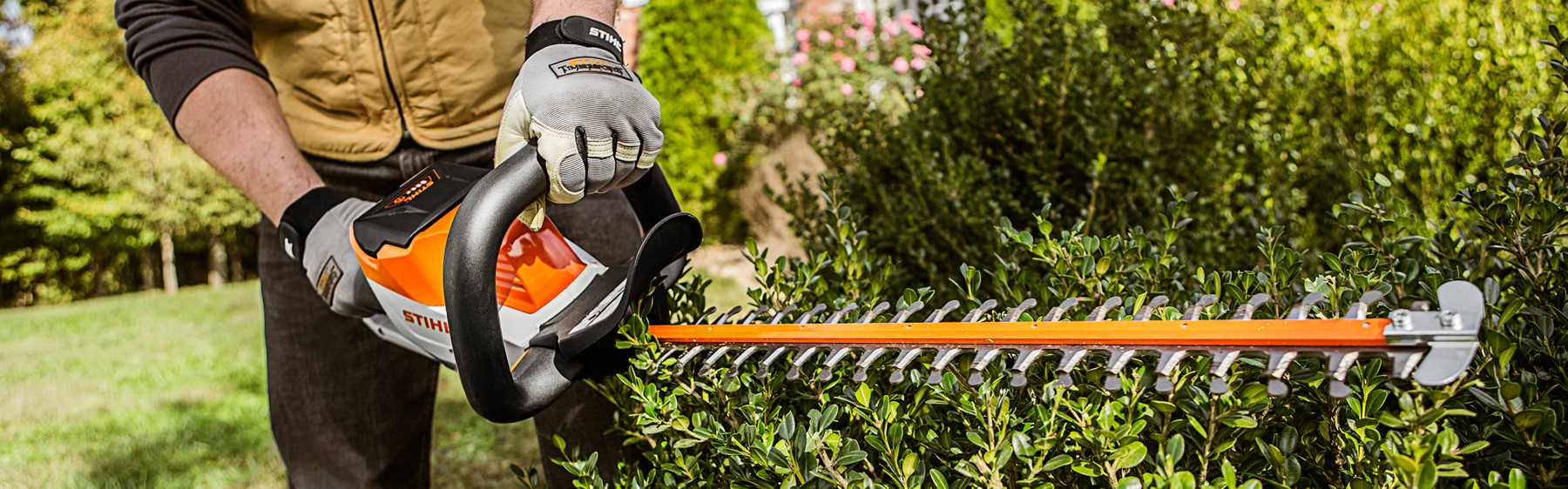 stihl mini hedge trimmer