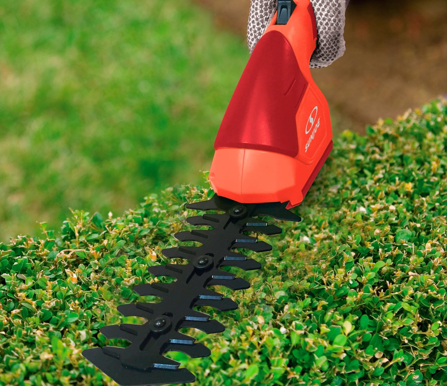 5 Best Lightweight Hedge Trimmers - Take Care of Your Garden With Ease