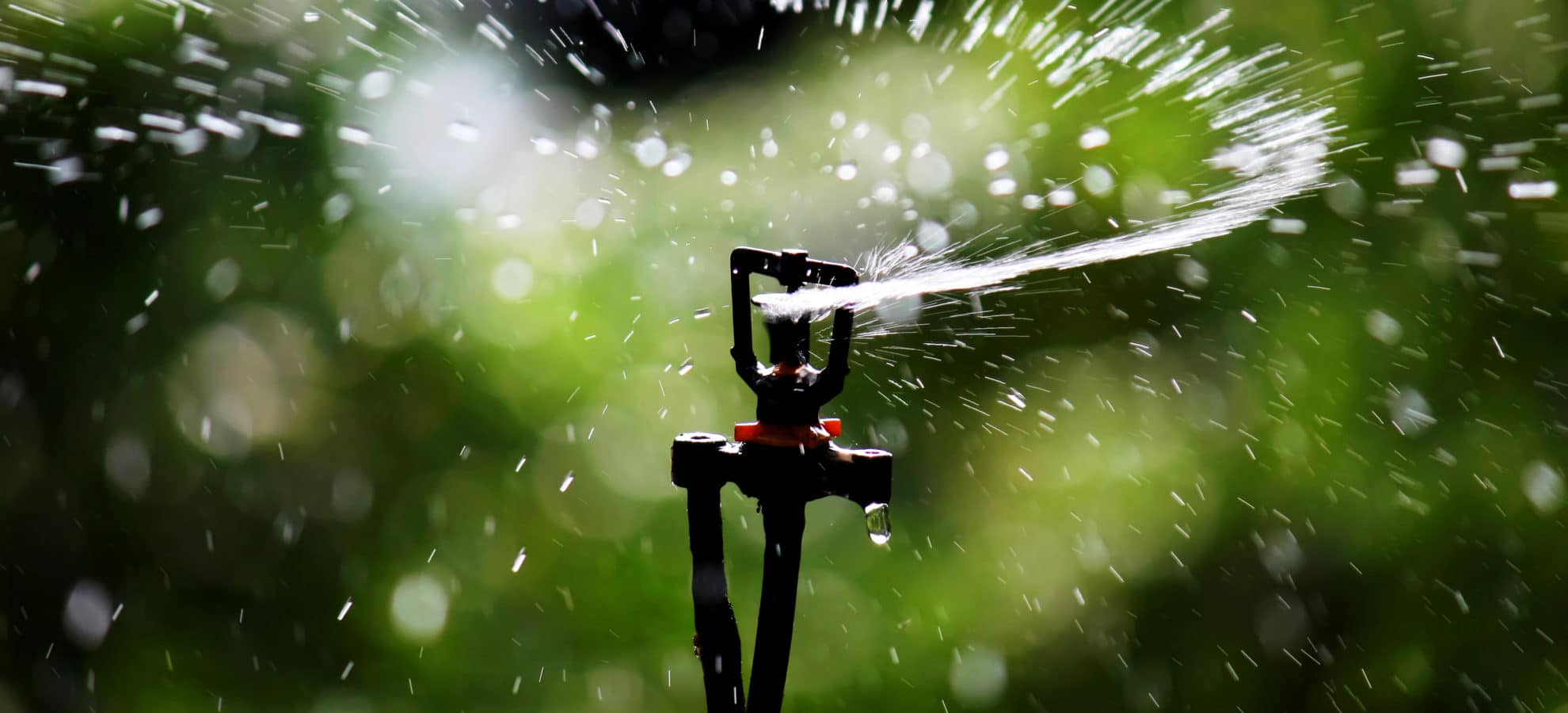 6 Best Sprinklers for a Small Lawn - Reviews and Buying Guide