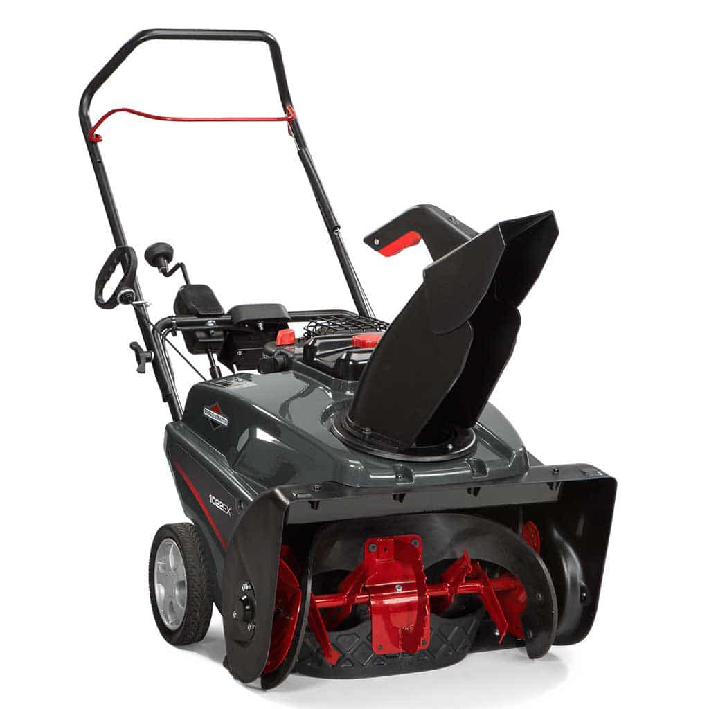 Briggs & Stratton 22