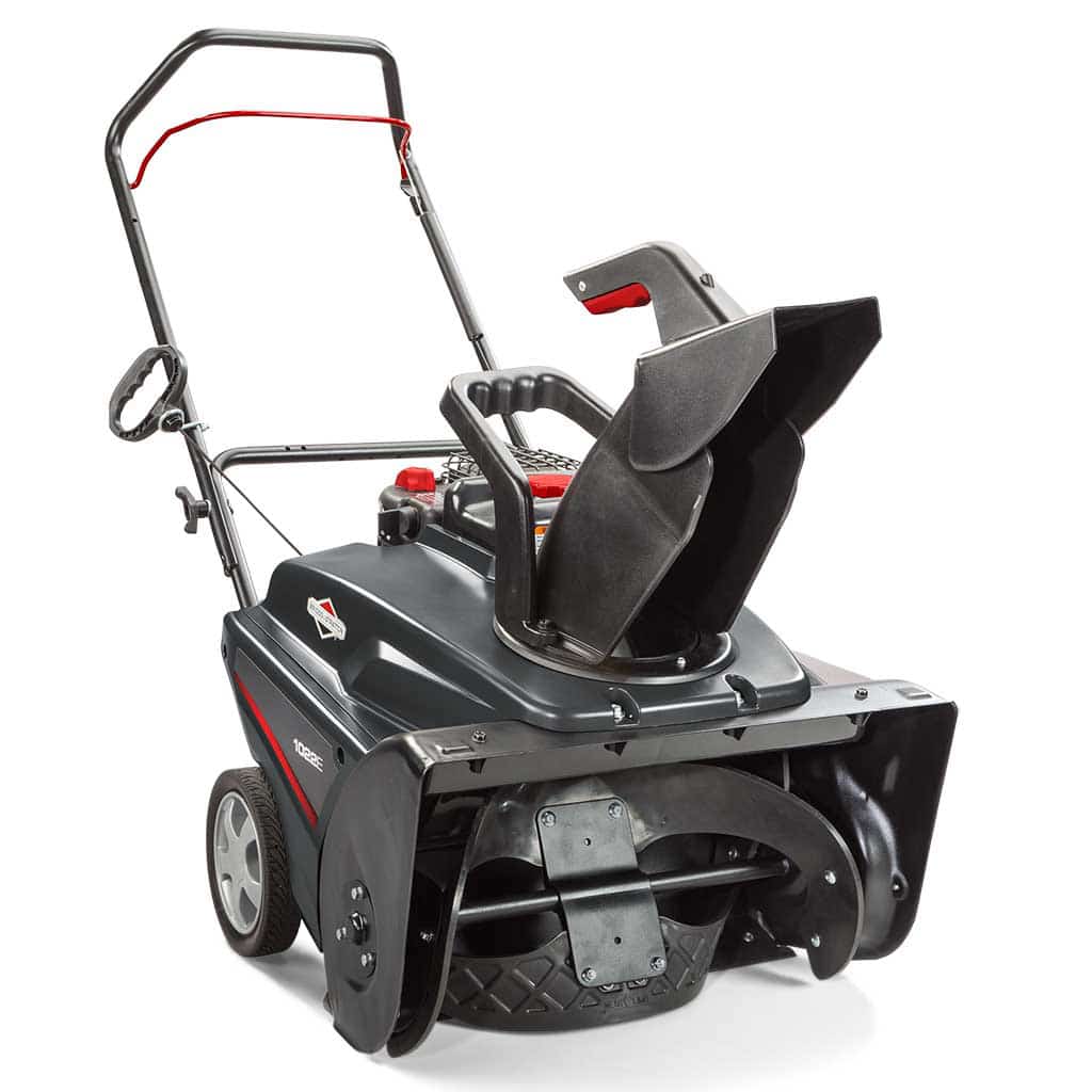 Briggs & Stratton 22