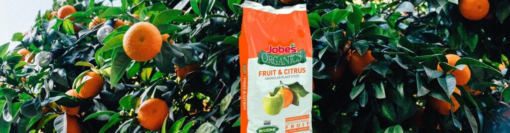 5 Best Fertilizers for Fruit Trees to Grow the Juiciest Fruits