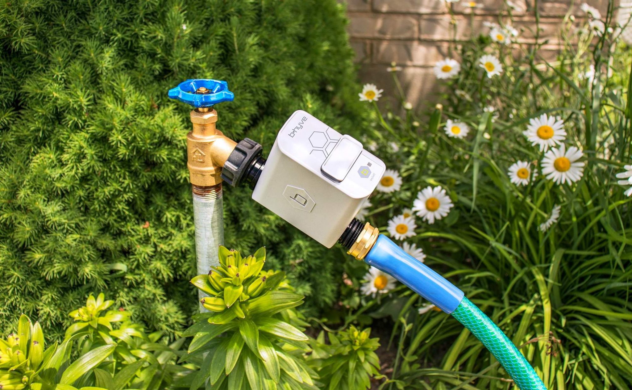 11 Best Hose Timers Reviewed (Summer 2024)
