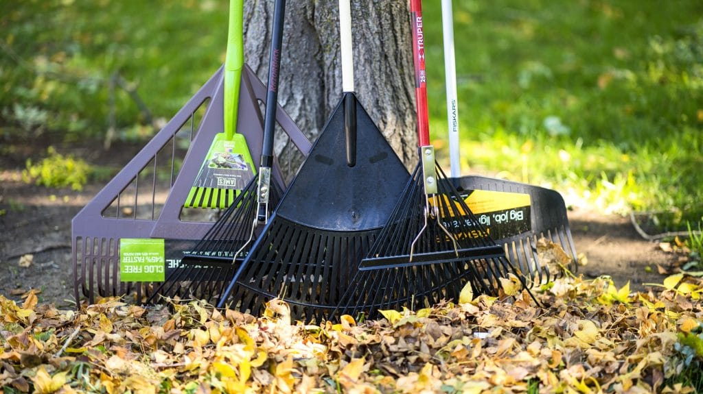 10 Best Leaf Rakes – Keep Your Yard or Garden in Perfect Condition!