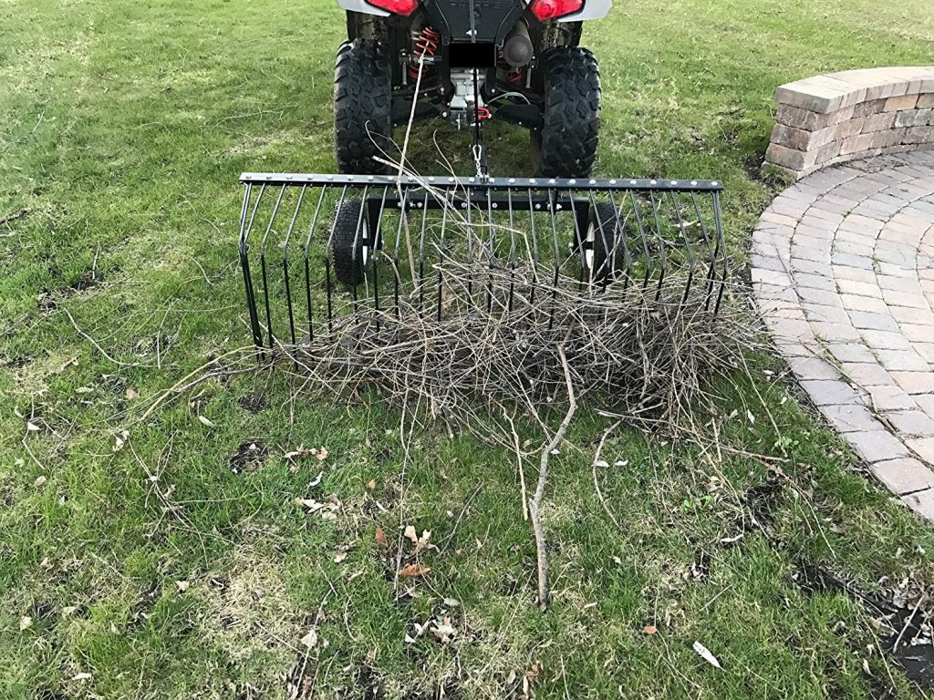 6 Best Rakes for Pine Needles - No Mess Any Longer