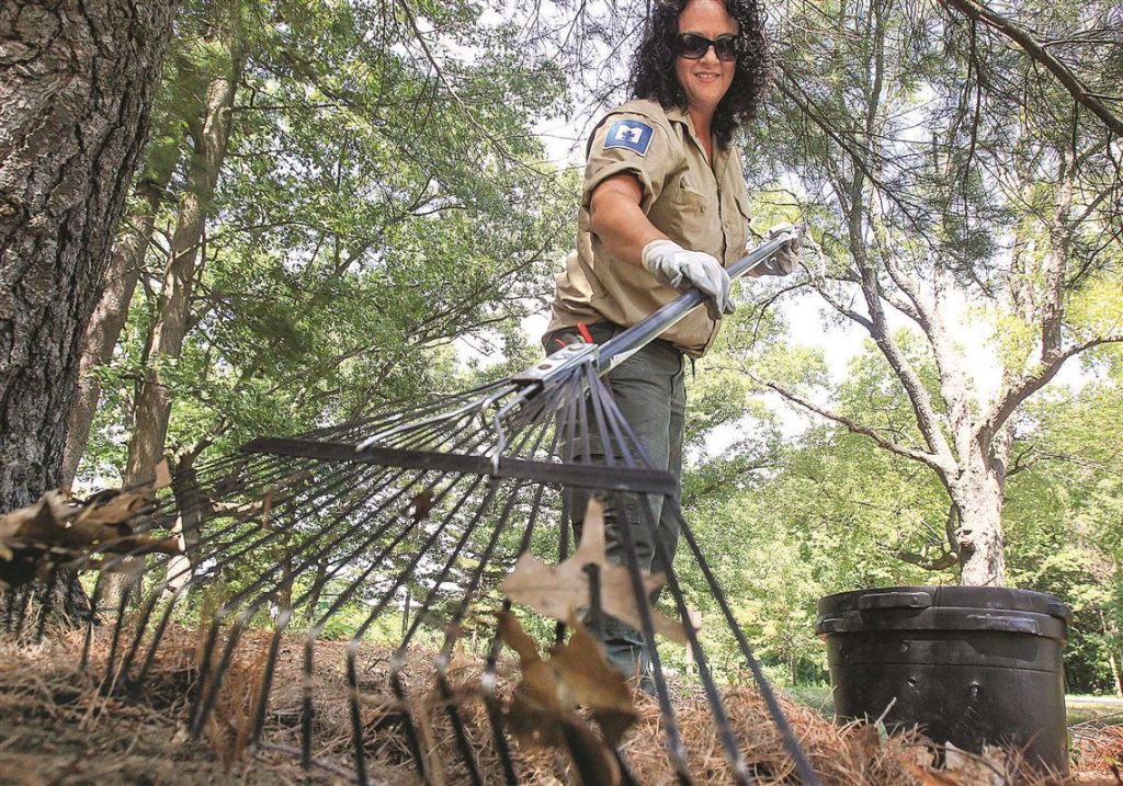 6 Best Rakes for Pine Needles - No Mess Any Longer