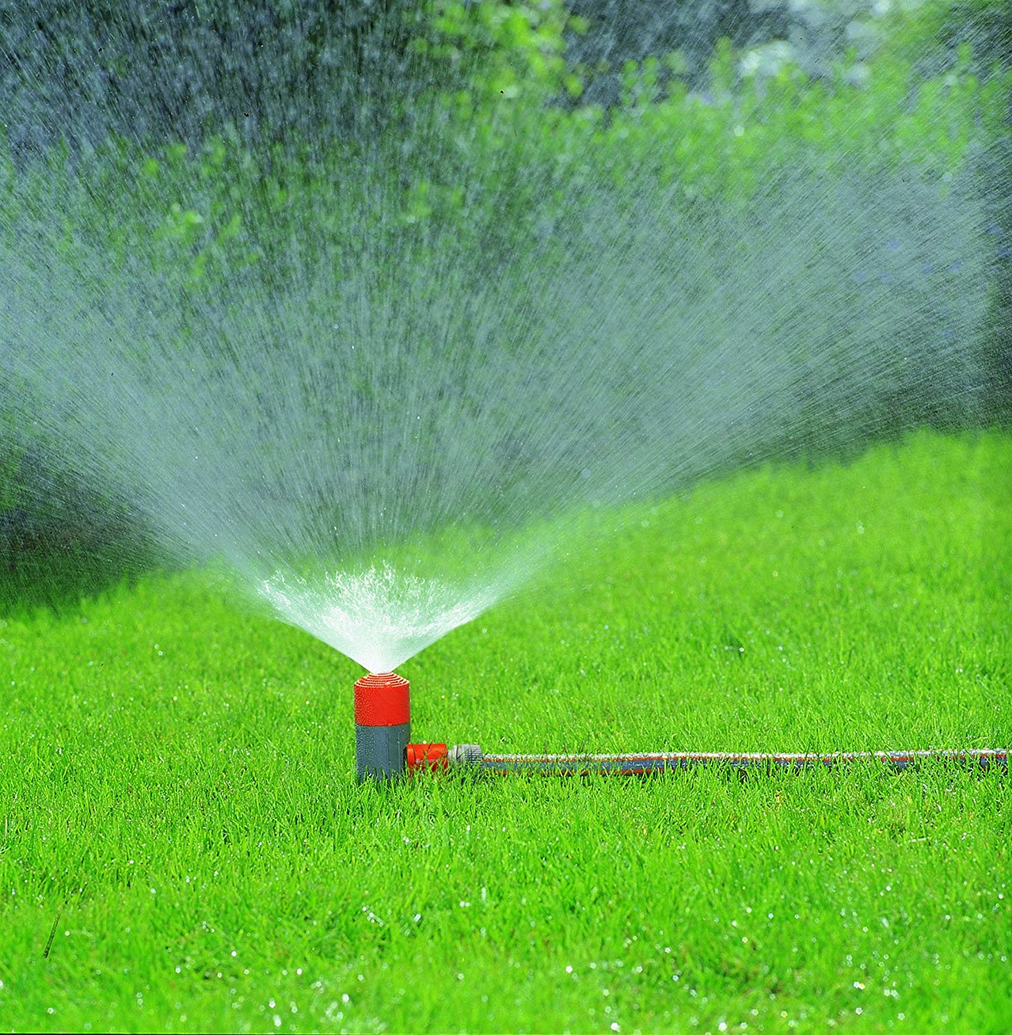 5 Best Sprinklers for a Small Lawn Reviewed (Sept. 2021)