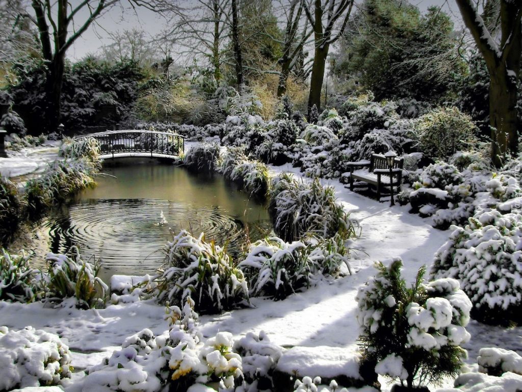 How To Keep A Pond From Freezing Without Electricity?