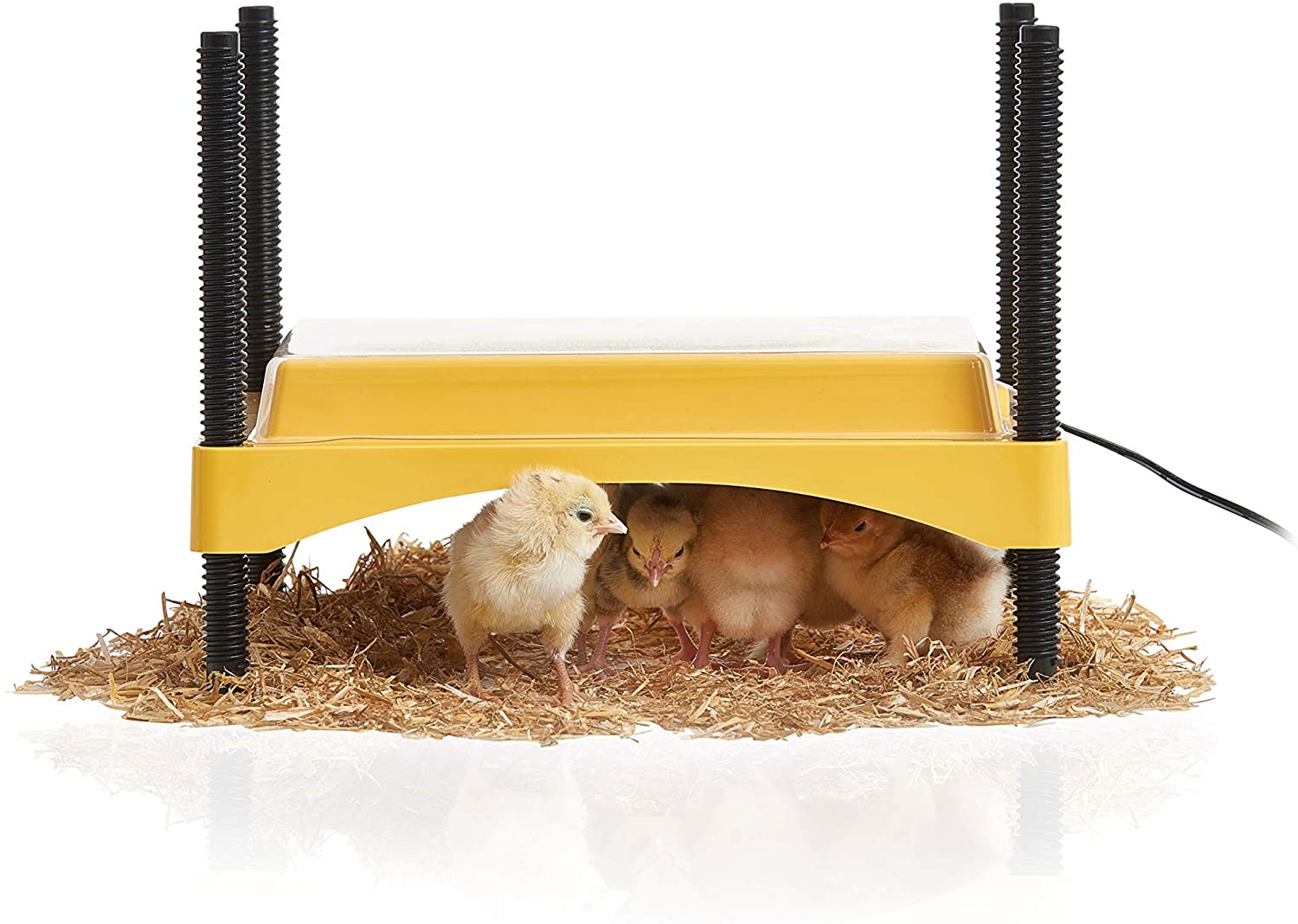 Brinsea EcoGlow Brooder for Chicks or Ducklings