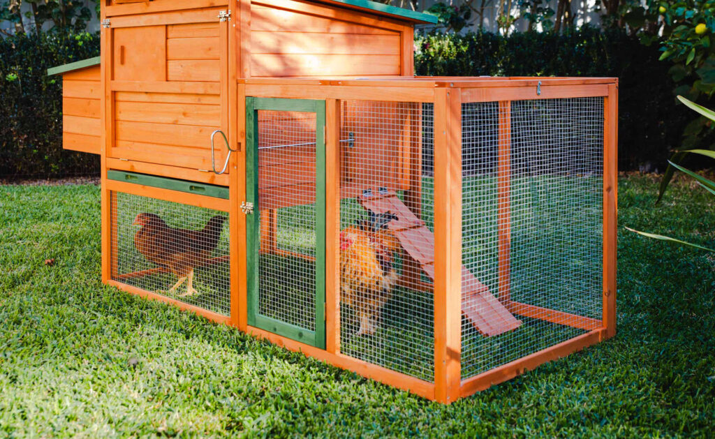 8 Best Chicken Coops - The Housing of Your Chickens' Dreams