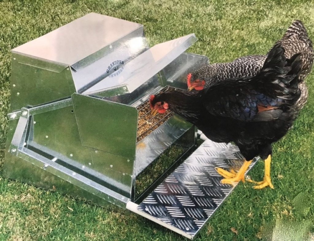 6 Best Chicken Feeders - Secure And Healthy Feeding for Your Flock