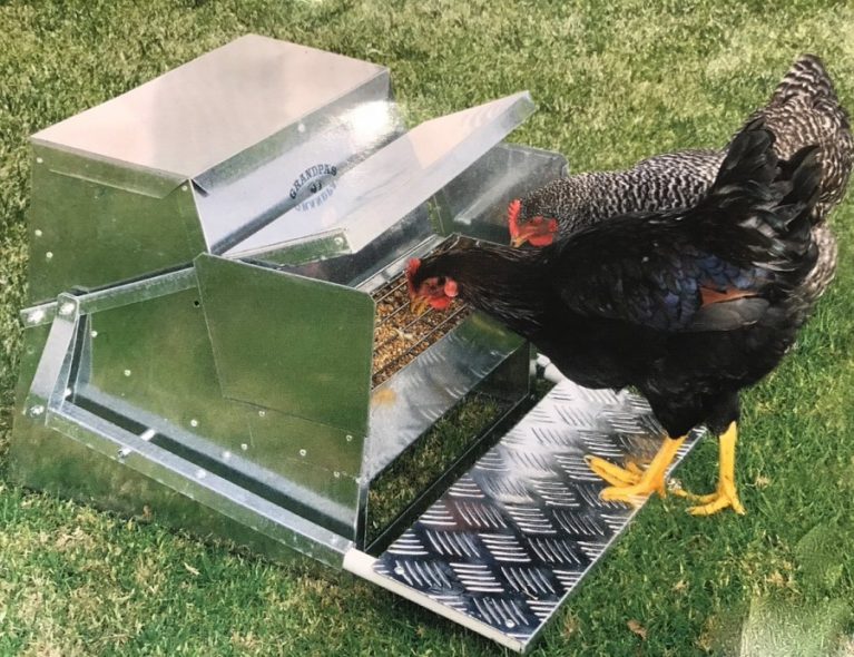 6 Best Chicken Feeders Reviewed (Fall 2023)