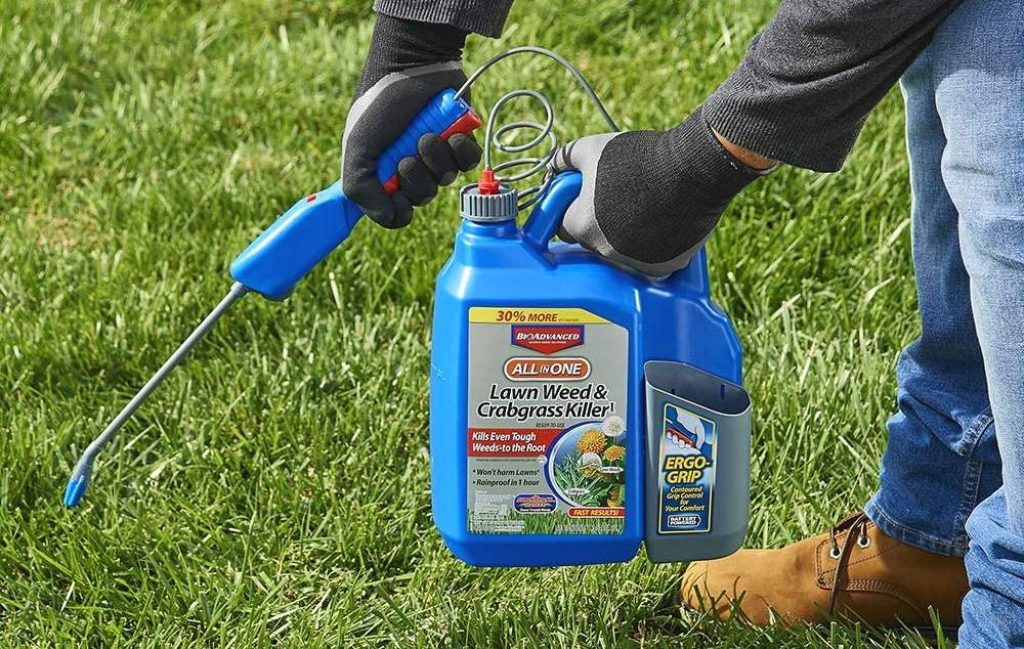 10 Most Effective Crabgrass Killers – Get Rid of Pesky Weeds in Your Garden!