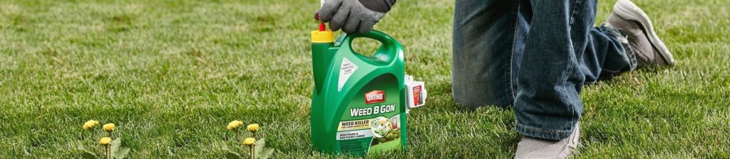 8 Best Dandelion Killers - Weeds are Taken Care of!