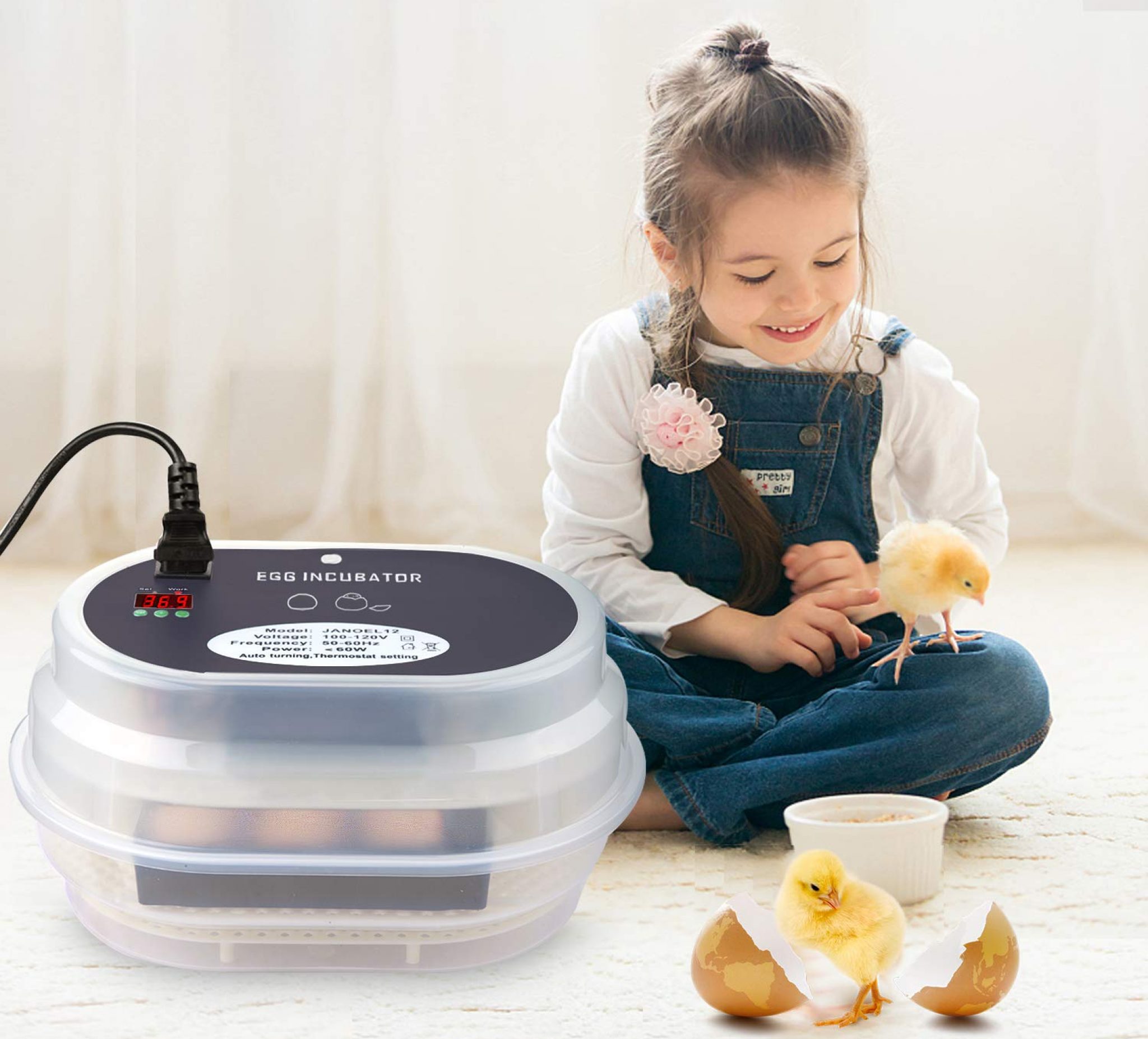 5 Best Egg Incubators Reviewed (Winter 2024)