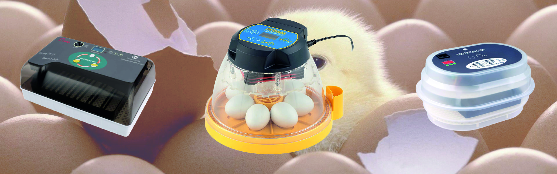 5 Best Egg Incubators for Hatching Chickens, Ducks or Some Exotic Birds