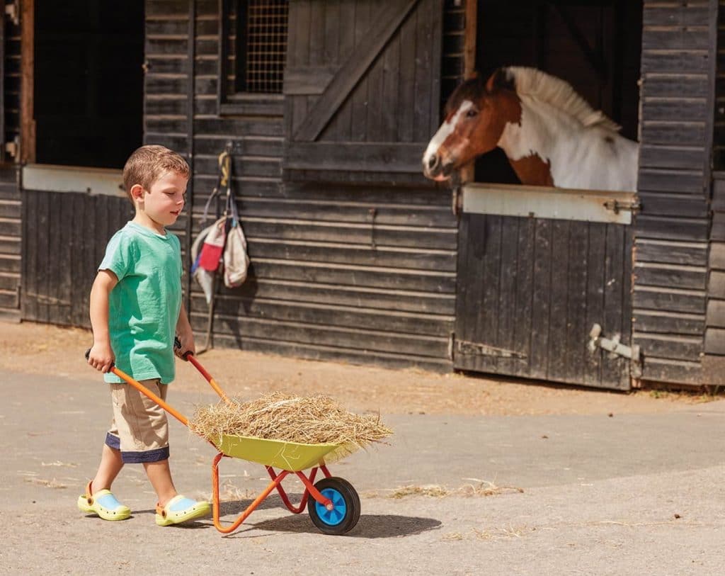 10 Best Kids Wheelbarrows - Perfect for Kids Playing in a Garden!