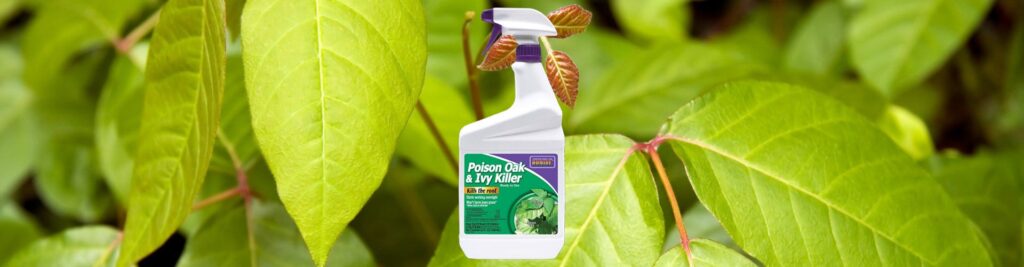 5 Best Poison Ivy Killers - Make It Safe Way