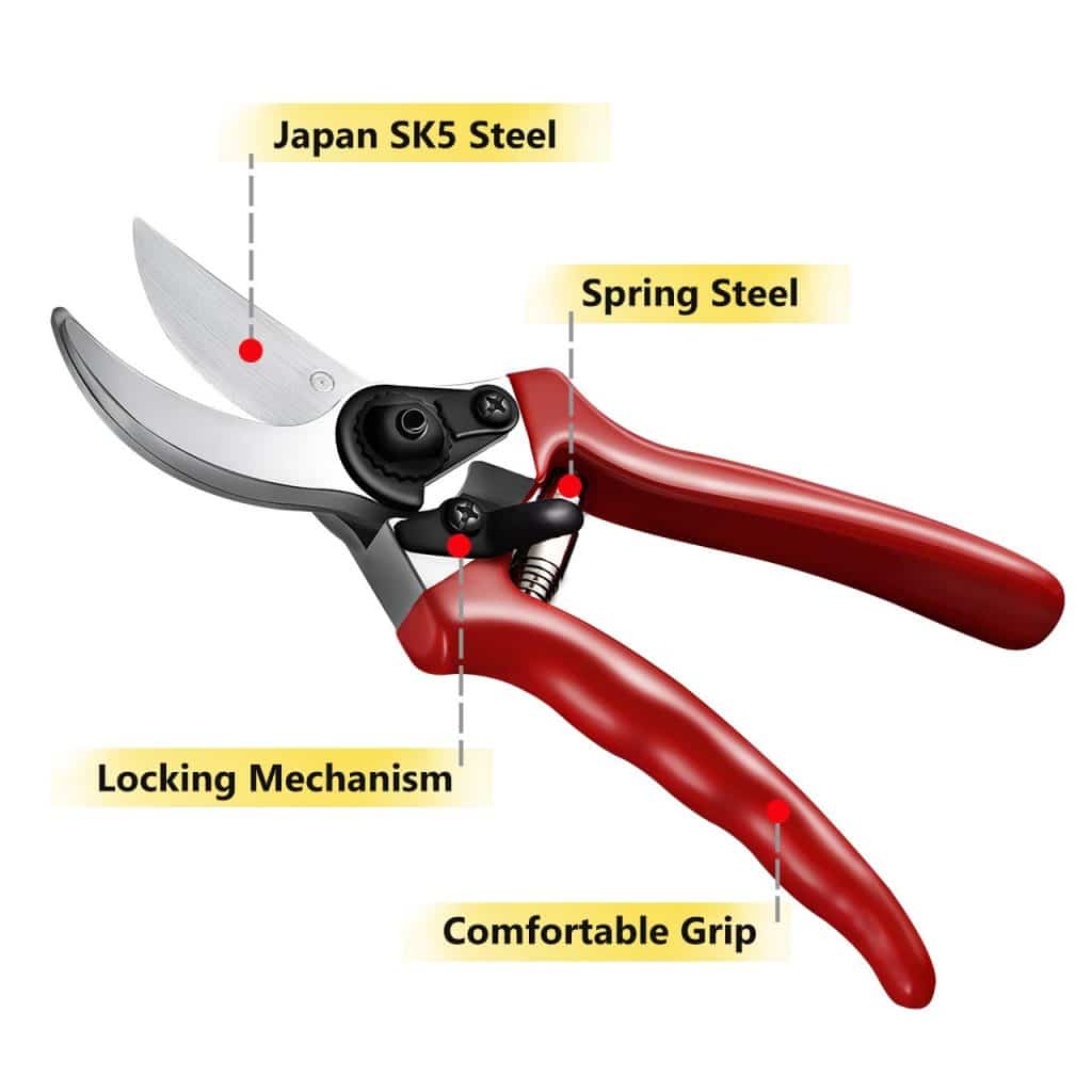 10 Best Pruning Shears - Get the Right Tool for the Job!