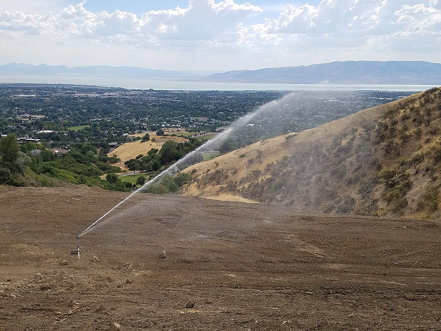 9 Best Sprinklers for Large Areas Reviewed (Jun. 2020)