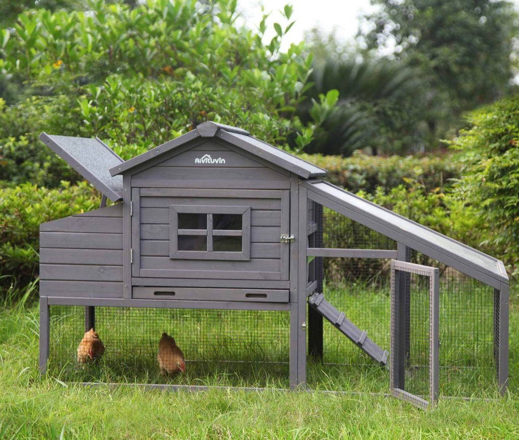 8 Best Chicken Coops - The Housing of Your Chickens' Dreams