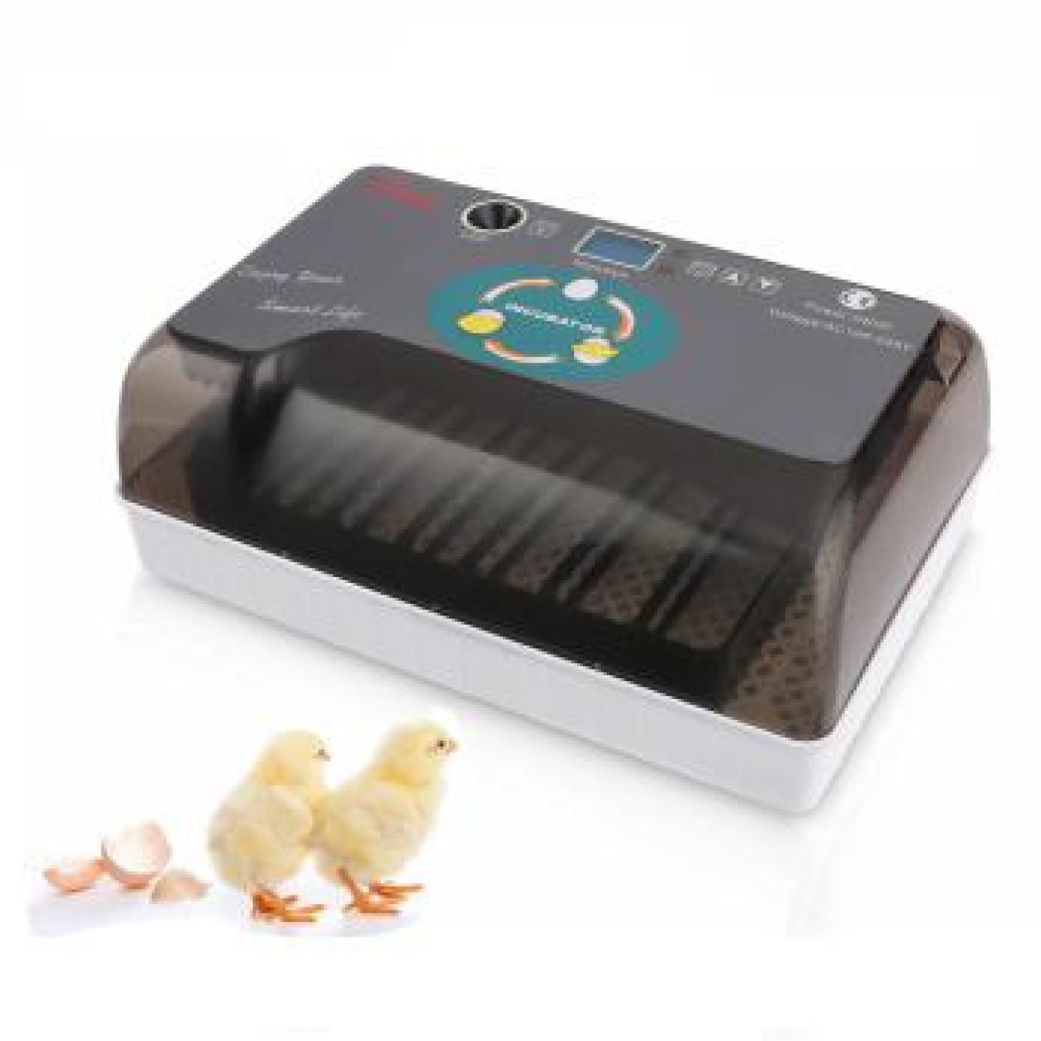 best egg incubator best egg incubator