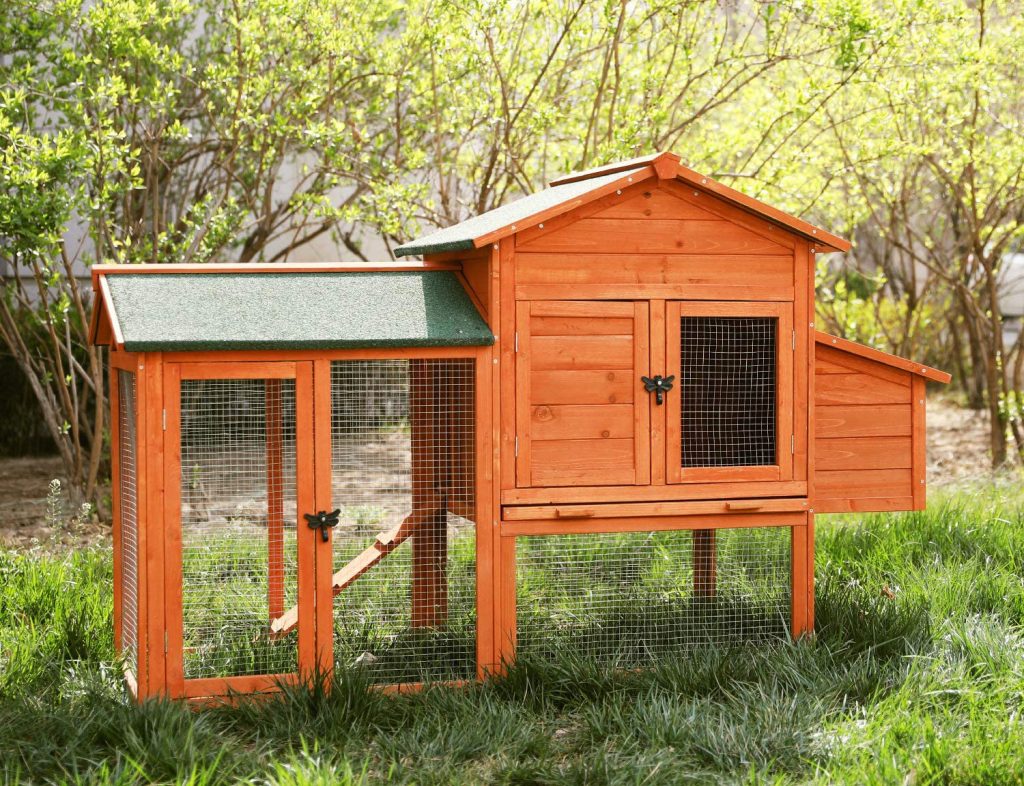 8 Best Chicken Coops - The Housing of Your Chickens' Dreams