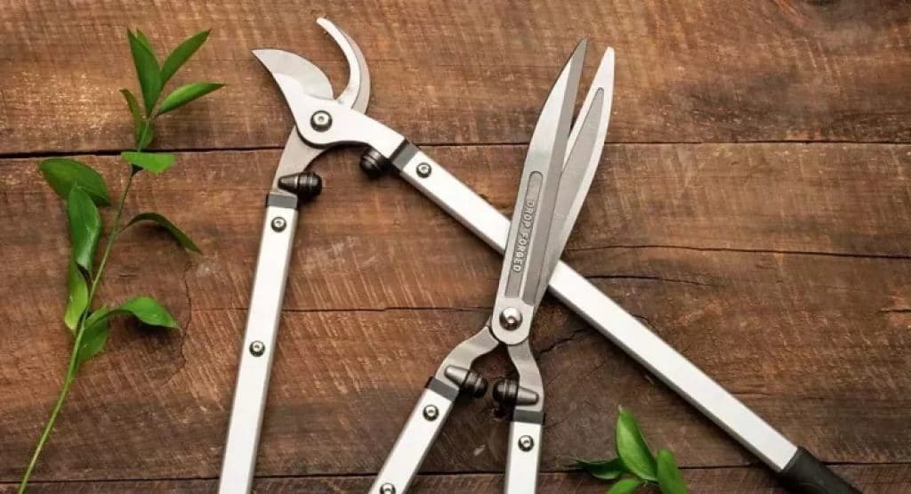 9 Best Hedge Shears – Shape Your Garden