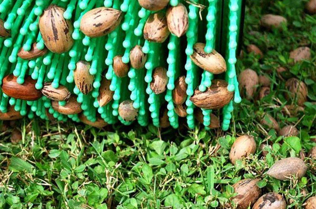 8 Best Rakes for Acorns – Get Rid of the Pesky Acorns in No Time!