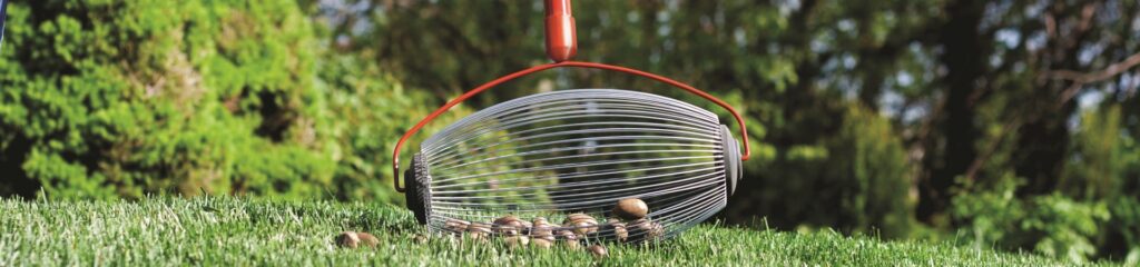 8 Best Rakes for Acorns – Get Rid of the Pesky Acorns in No Time!