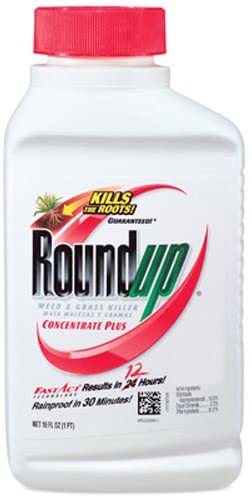 Roundup Weed & Grass Killer Concentrate Plus