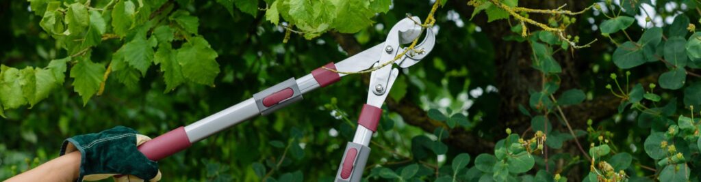 10 Best Loppers - Remove any Branches Effortlessly!